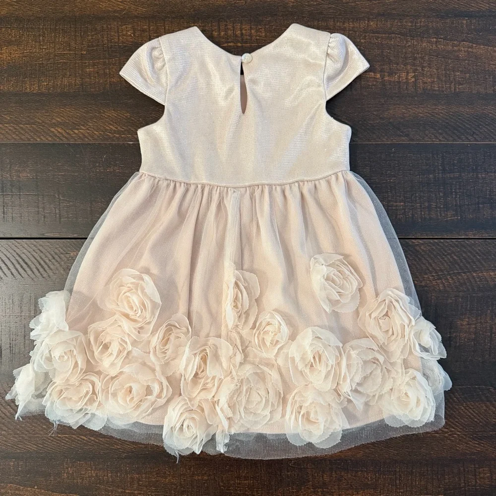 Nannette 3D Rosette Tulle Dress Champagne Pink 18M Flower Girl Birthday Shimmer
